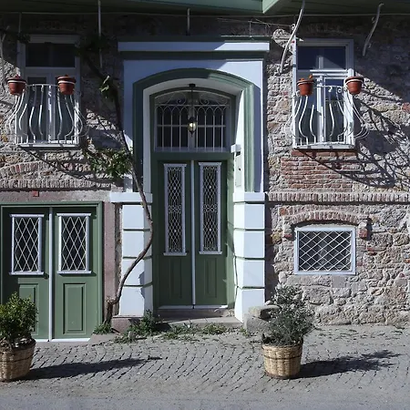 Podemos Ayvalı
