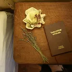 Podemos Hotel Ayvalı