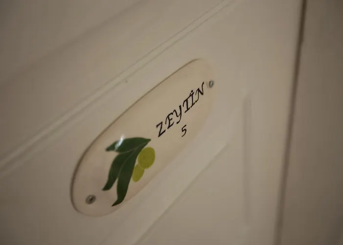 Podemos Ξενοδοχείο Ayvalı