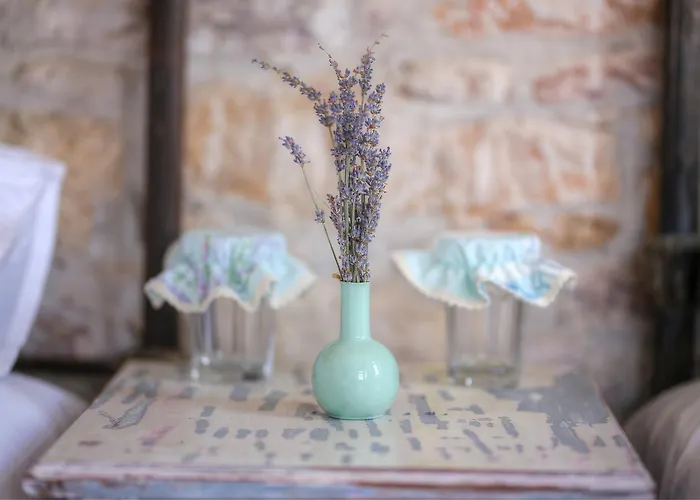 Podemos Ξενοδοχείο